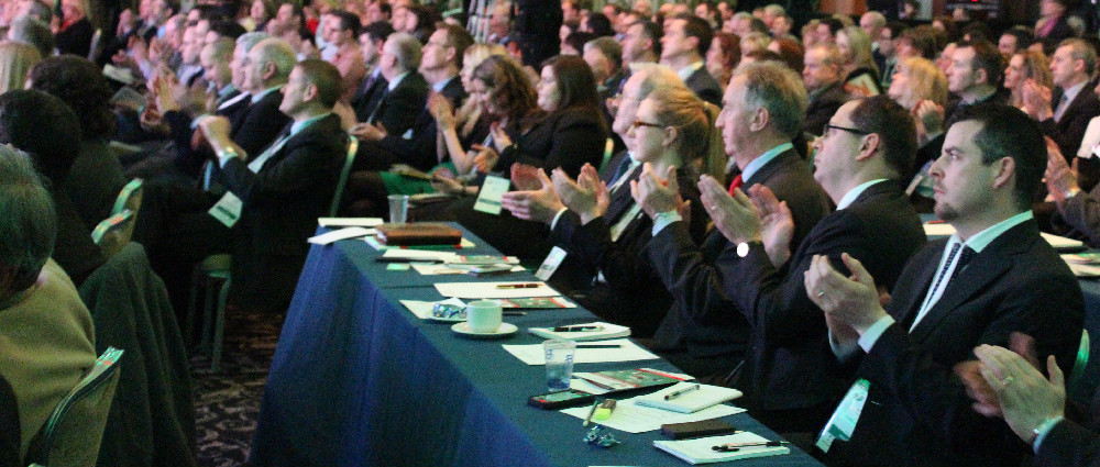IMG_1413 cropped IMG_1413 cropped